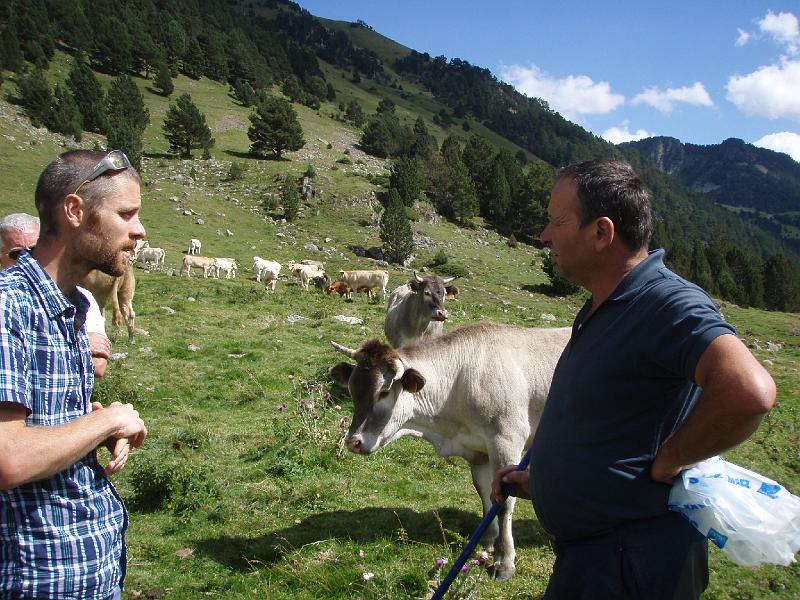 Pyrenees 2011 073.jpg